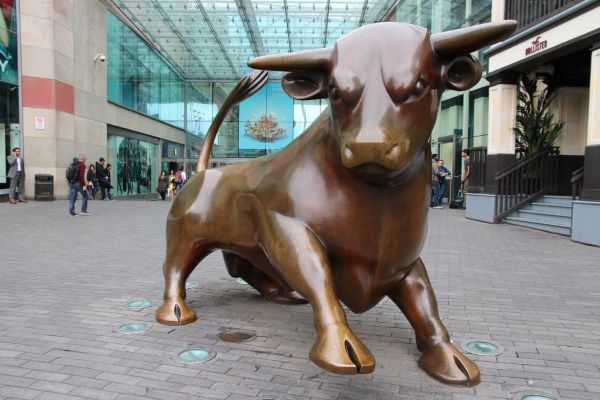 The bull ring