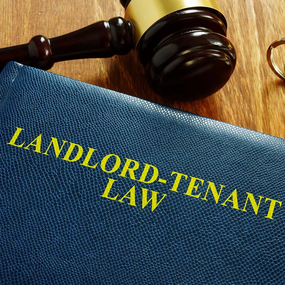LandLord Tenant Law